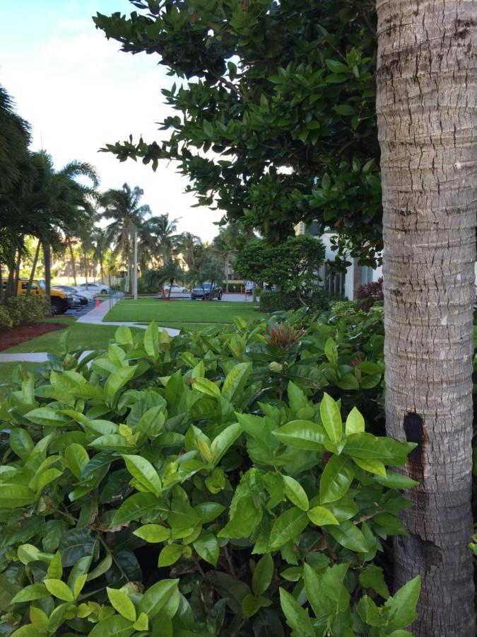 Disfruta Sunny Isles Ocean 1206 Str-02816 Lejlighed Miami Beach Eksteriør billede