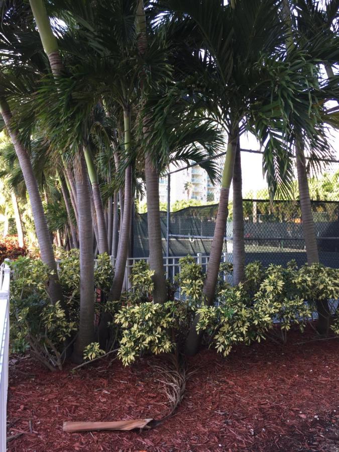 Disfruta Sunny Isles Ocean 1206 Str-02816 Lejlighed Miami Beach Eksteriør billede